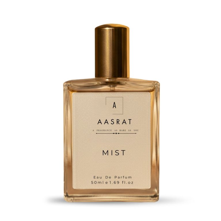 WhatsApp Image 2026-02-13 at 2.49.48 PM